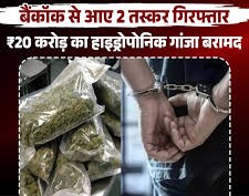 वाराणसी एयरपोर्ट पर ₹20 करोड़ की हाइड्रोपोनिक वीड बरामद, इंदौर का कपल गिरफ्तार